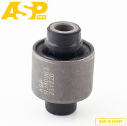 ASP RJ40063