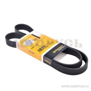 Continental 6PK1230 Ремень генератора для а/м Волга 406 двигатель Contitech 6РК1230