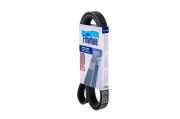Finwhale BP6PK1555