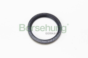 BORSEHUNG B12198