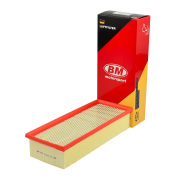 BM-Motorsport FA1116