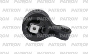 PATRON PSE30986