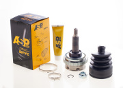 ASP CV260205