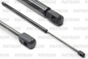 PATRON PGS100029