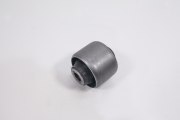 ZF Russia 2 * * * R