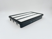 BIG FILTER GB9665 