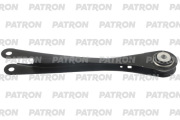PATRON PS51579