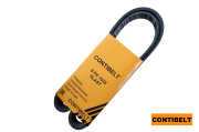 Contibelt 6PK1039ELAST