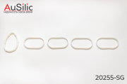 AuSilic 20255SG