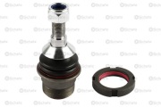 Schatz S12555