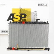 ASP A * * * 8
