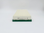 BIG FILTER GB95018 