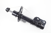 ZF Russia 3 * * * R