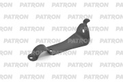 PATRON PSE23534