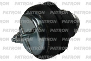 PATRON PSE30880