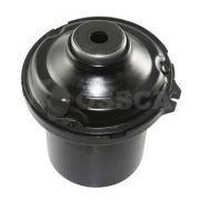 OSSCA 05919