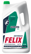 Felix A30206031