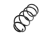 Standard Springs ST119001F Пружина подвески передняя