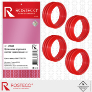 Rosteco 20541