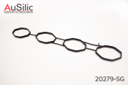 AuSilic 20279SG