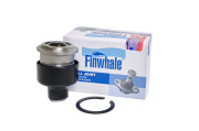 Finwhale BJ518