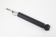 ZF Russia 317100ZFR