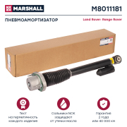 MARSHALL M8011181