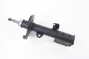 ZF Russia 317121ZFR