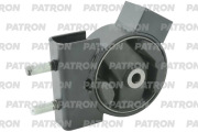 PATRON PSE30894