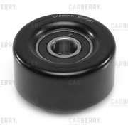 CARBERRY 55CA261