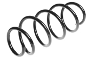 Standard Springs ST134113F