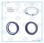 GELZER 1 * * * T