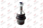 RODRUNNER BJM827