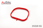 AuSilic 20218SG