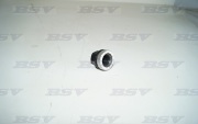 BSV BSV81220092