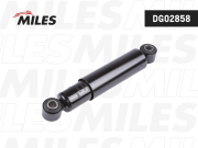 Miles DG02858
