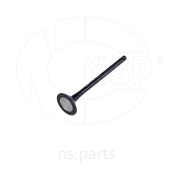 NSP NSP02222122B000