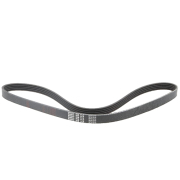 Bando 5PK1010