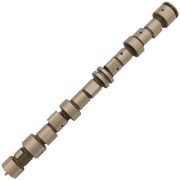 Zikmar Z18008R Распредвал