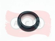 ACQ AJP3121