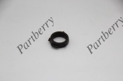 PARTBERRY P * * * 0