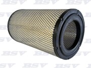 BSV BSV18060611