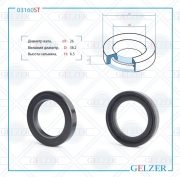 GELZER 0 * * * T