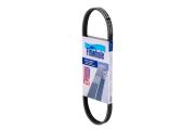Finwhale BP4PK643