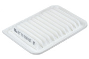RAF FILTER RST178010D060