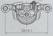 Trialli CF162106