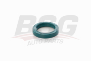 BSG AUTO PARTS BSG30116129