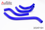 AuSilic 10147SH