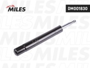 Miles DM001830