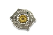 CHRYSLER 55116901AA